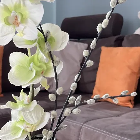 Сasa de vacaciones Sweethome